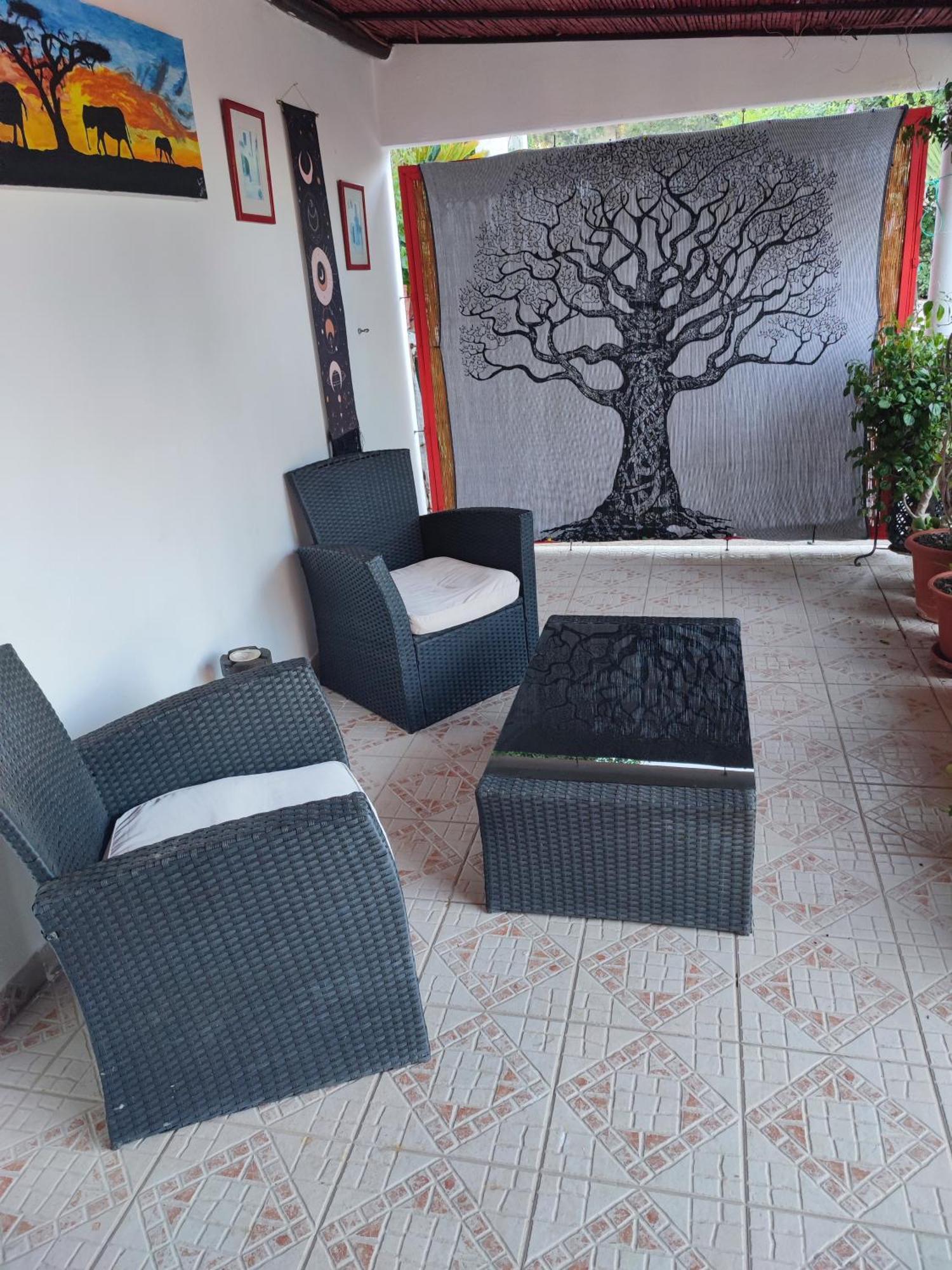 My House - Casa Charme Villa Monchique Buitenkant foto