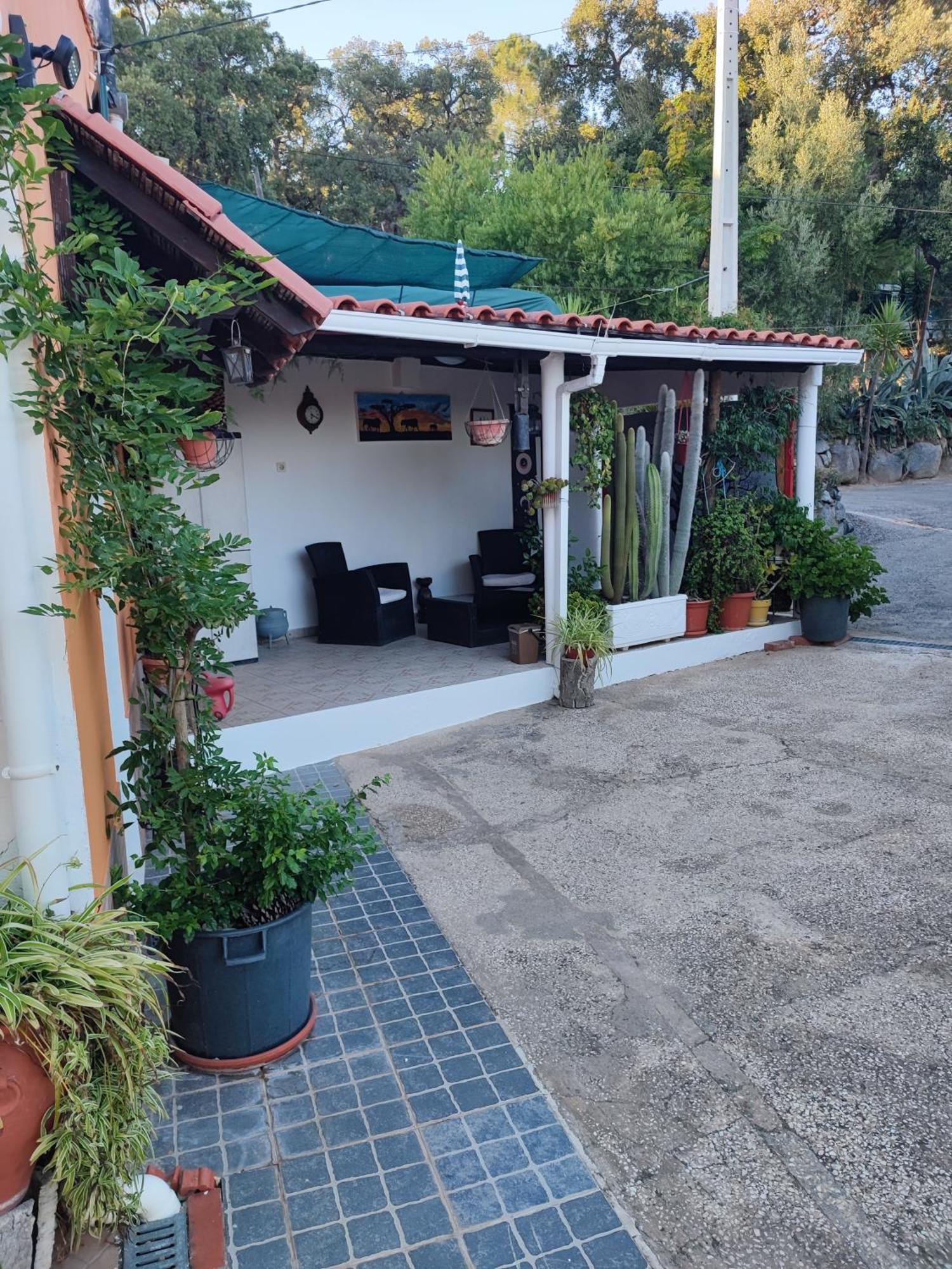 My House - Casa Charme Villa Monchique Buitenkant foto