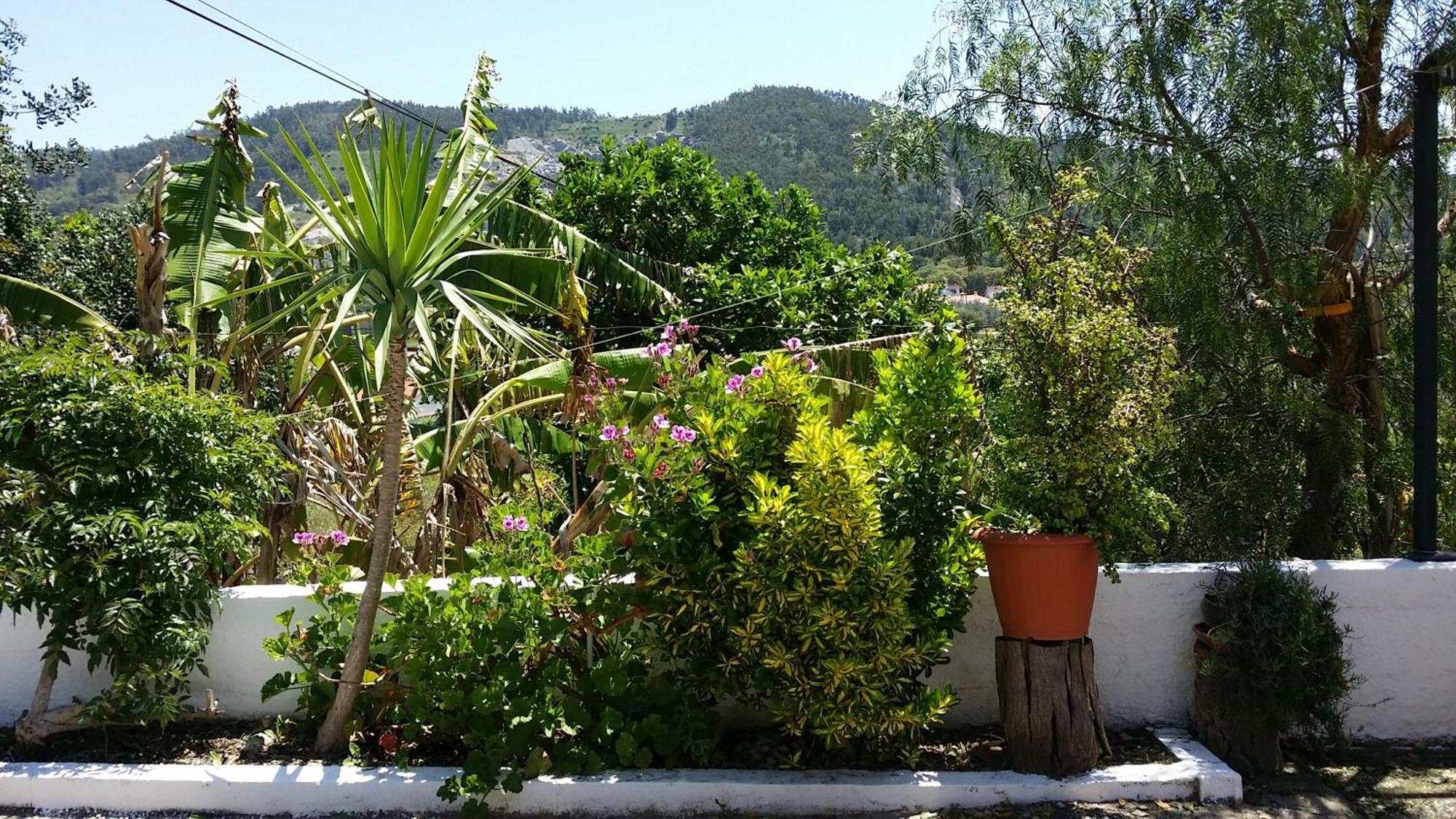 My House - Casa Charme Villa Monchique Buitenkant foto